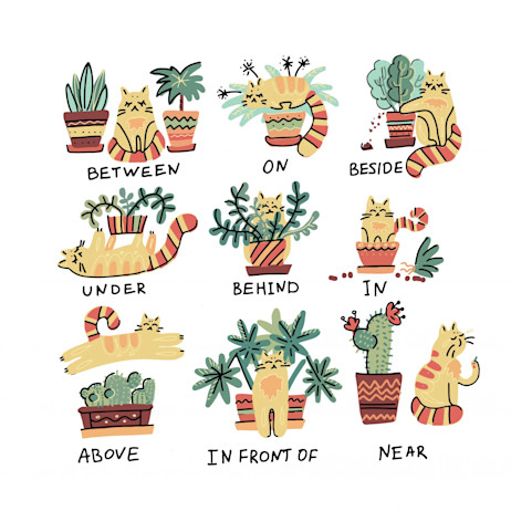 Ielts Grammar Prepositions