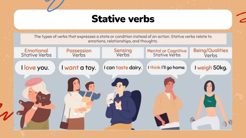 stative verbs là gì