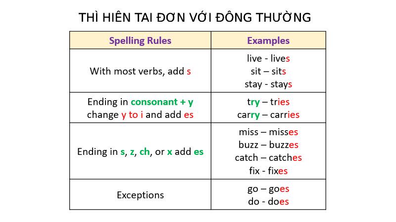 cấu trúc thì thời điểm hiện tại đơn với động kể từ thường