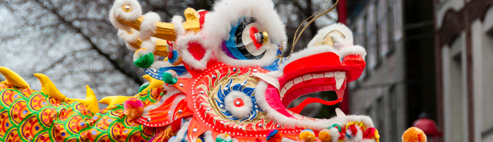 A close up of Chinese lion dance at lunar new year.