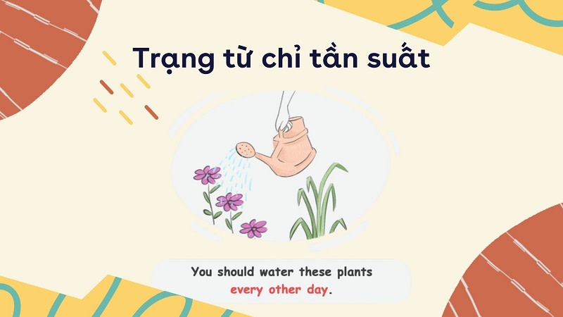 các trạng từ chỉ tần suất