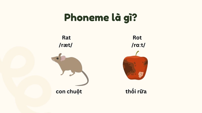 phoneme là gì
