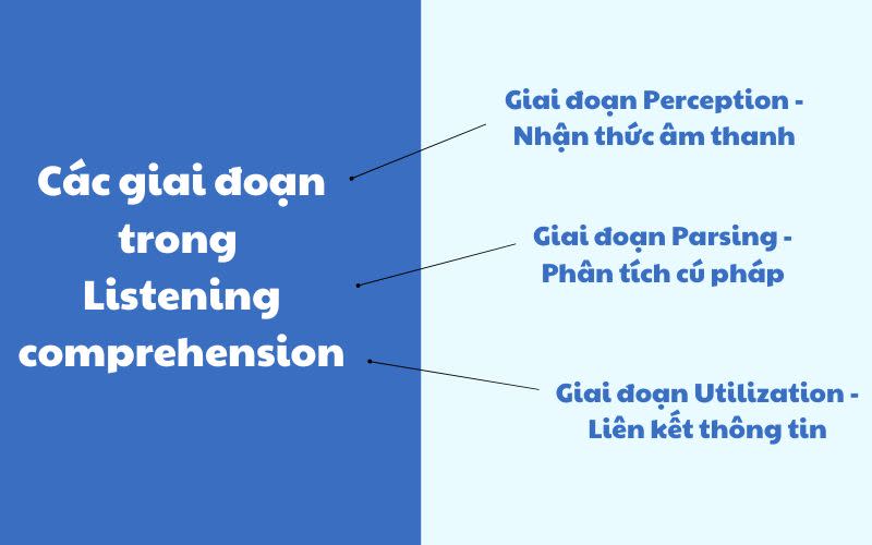 Các giai đoạn trong Listening comprehension 