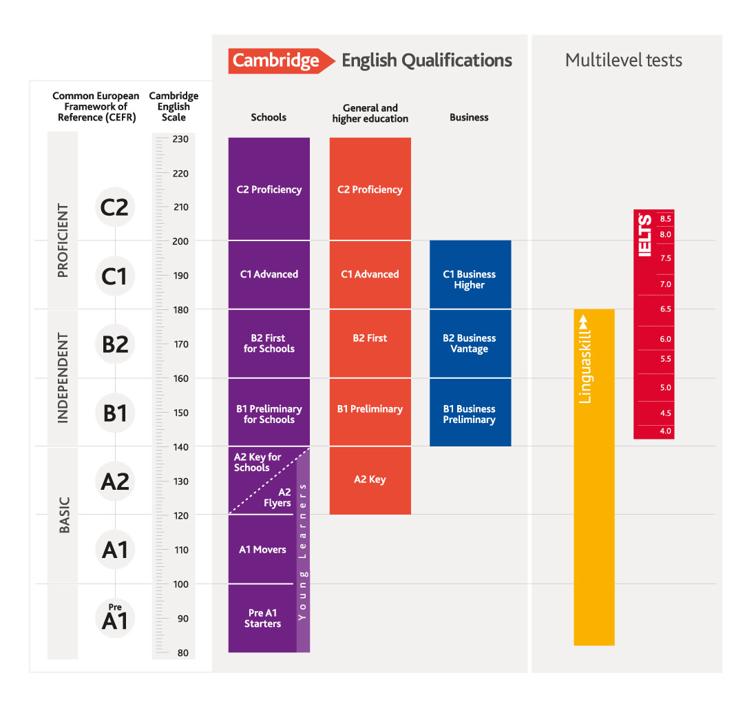 Cambridge Score Chart