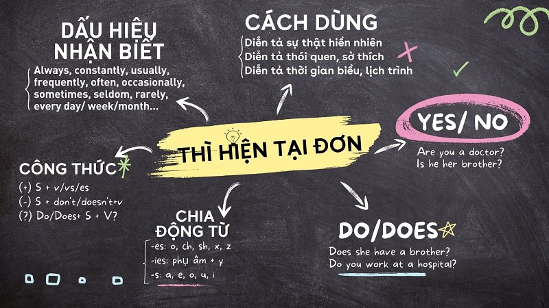 sơ đồ tư duy về thì hiện tại đơn