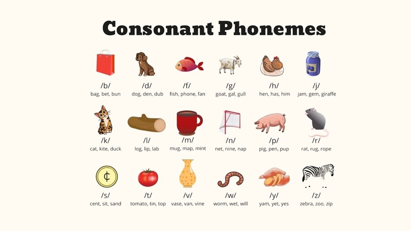 Consonant Phonemes