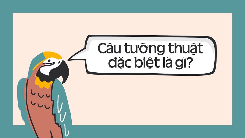 câu tường thuật dạng đặc biệt