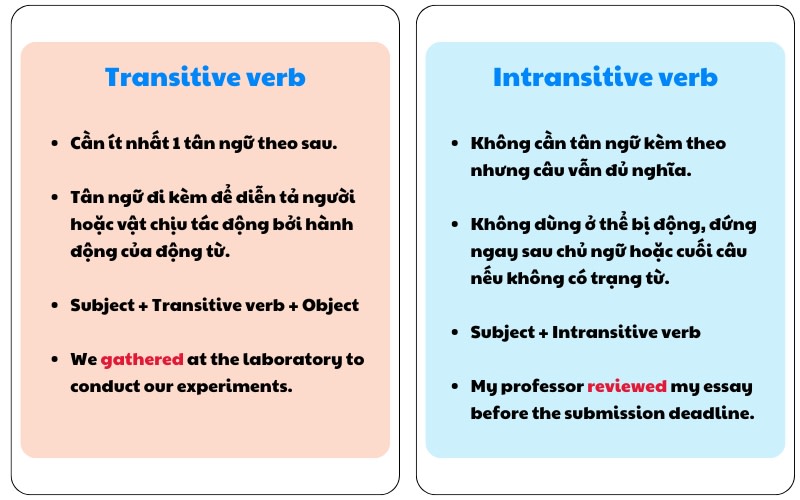 ngoại động từ và nội động từ