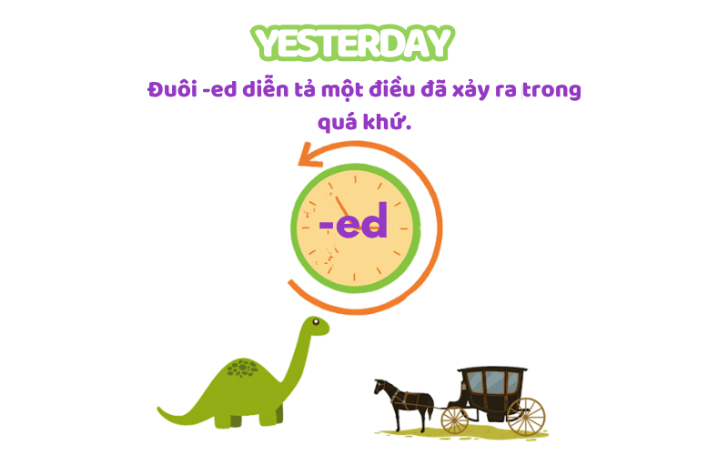 How to Pronounce ed