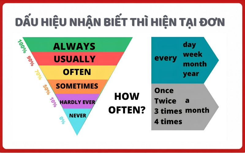 dấu hiệu nhận biết thì hiện tại đơn