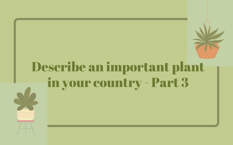 describe an important plant that grows in your country