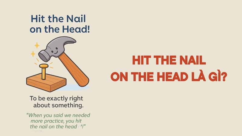 hit the nail on the head nghĩa là gì