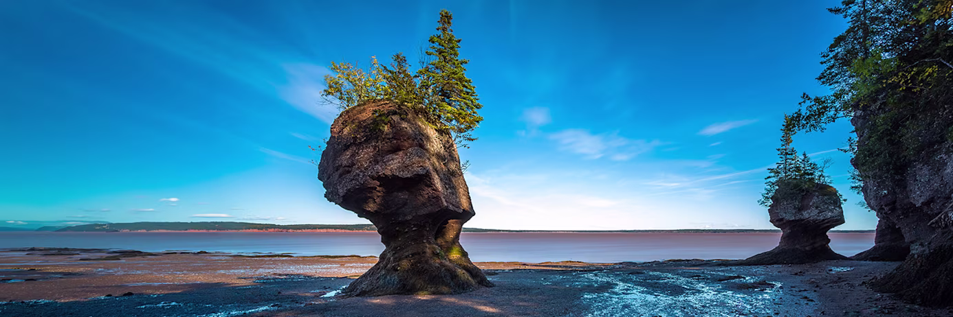Banner image for IELTS in New Brunswick Landing Page features Hopewell Rocks in New Brunswick, Canada at Low Tide