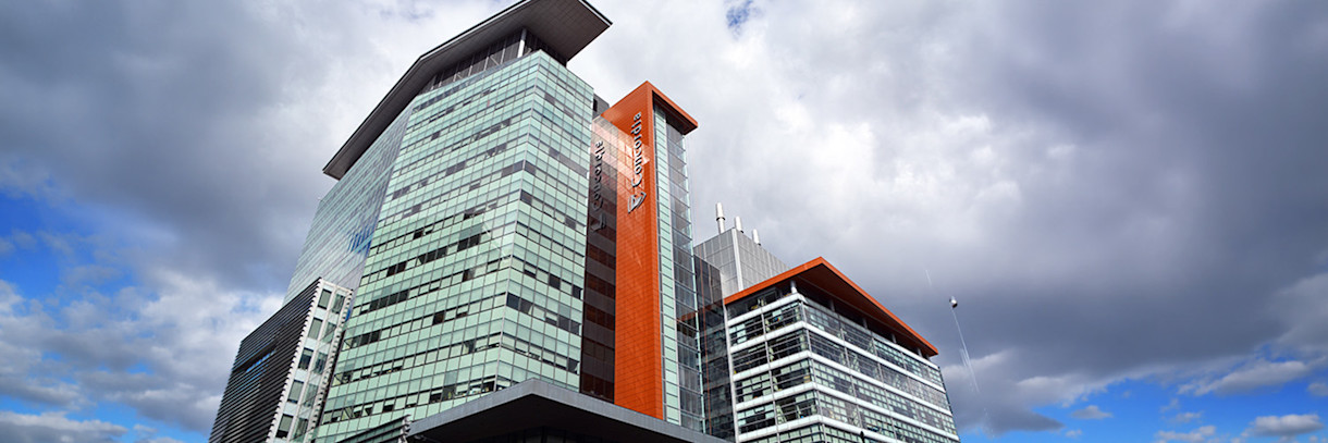 BODY IMAGE - PARAGRAPH - Landing Page - IELTS Requirements for Concordia University- A Complete Guide for International Students - 3 - IELTS Acceptance at Concordia University - Canada