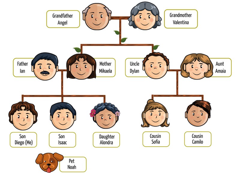 Article - IELTS Vocabulary Family - Paragraph 1 - IMG 2 - Vietnam