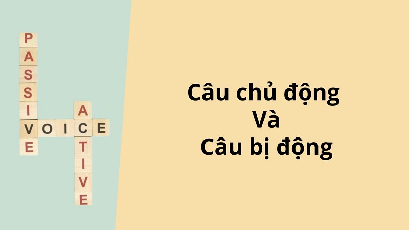 bài tập câu bị đông thì hiện tại đơn