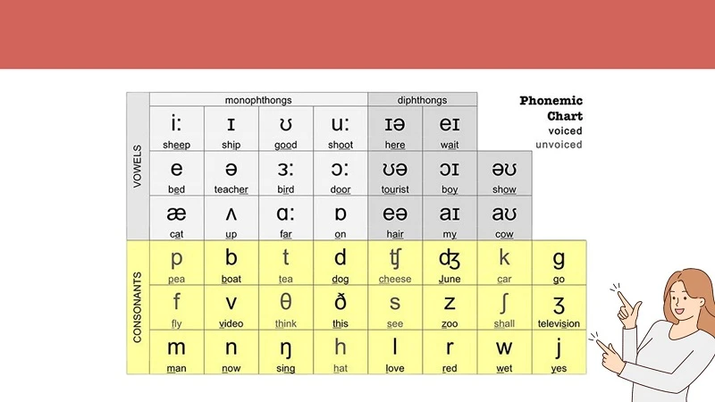 IPA là gì? Bảng phiên âm Tiếng Anh IPA chuẩn quốc tế
