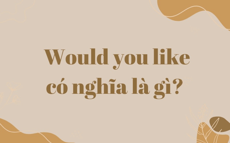 would you like + gì