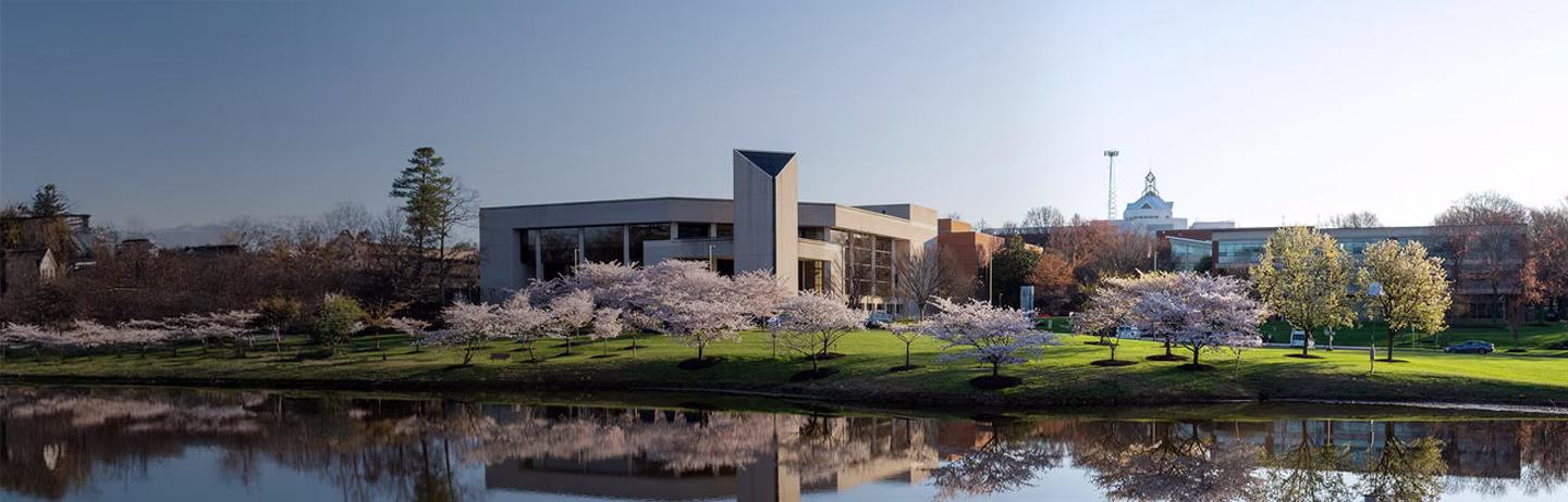 Join ielts webinar and learn how to study in the USA