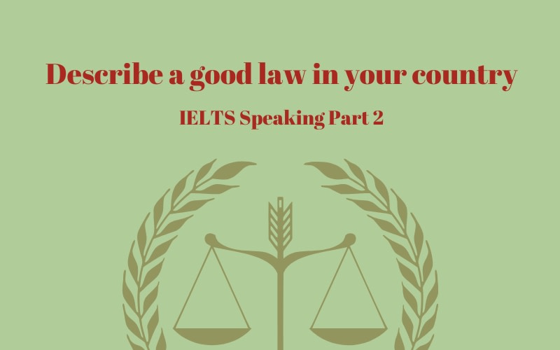 describe a good law in your country vietnam