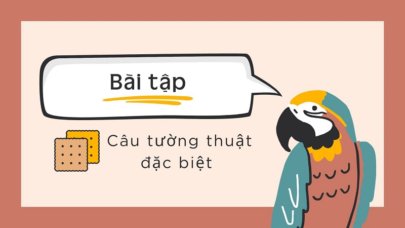 bài tập câu tường thuật đặc biệt