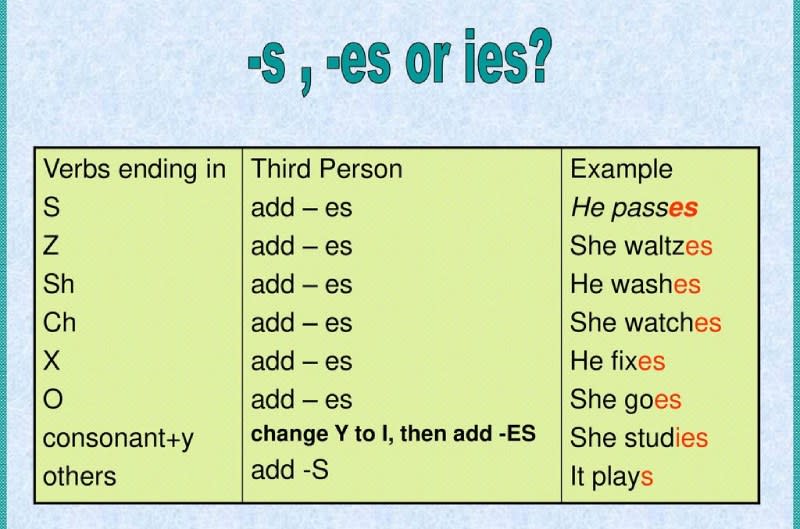 Article - Verbs With S In Present Simple - Paragraph 1 - IMG 1 - Vietnam