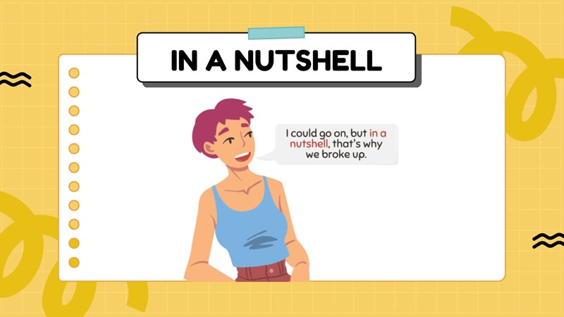 in a nutshell nghĩa là gì