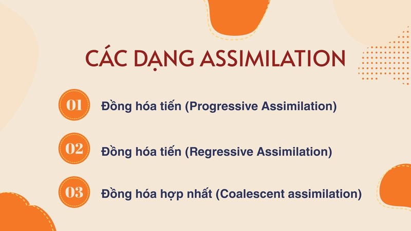 Các dạng Assimilation