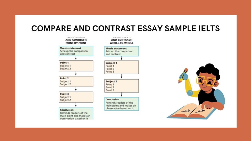 bài mẫu compare and contrast essay
