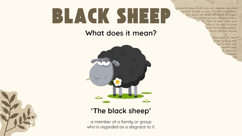 black sheep là gì