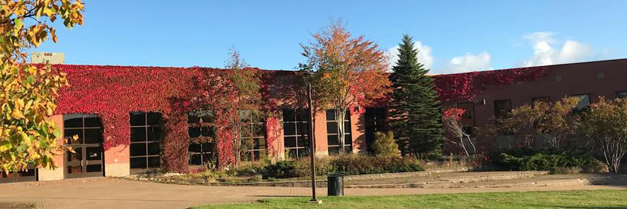 BANNER - IA test centre detail - Canada College - Sydney V2 - Canada