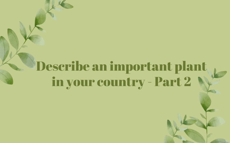 describe an important plant (flower) that grows in your country