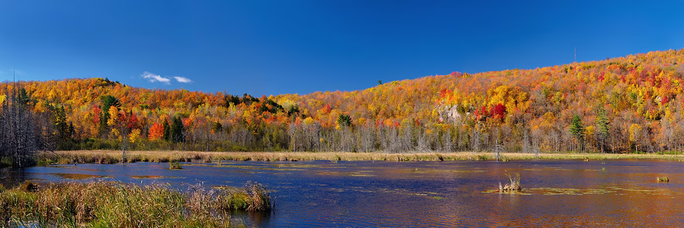 ielts test Quebec - Panorama of a Gatineau Park lake in the Fall with colorful leaves at the back of Camp Fortune