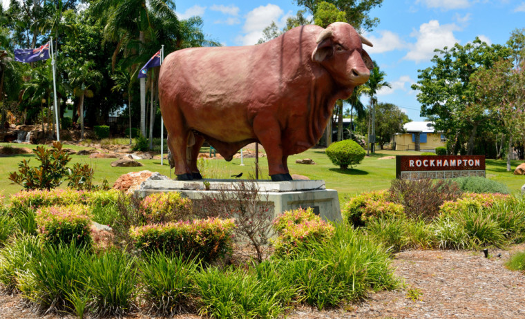 Statue of Santa Gertrudis bull, at Frank Forde Park in Allenstown, Rockhampton, QLD.