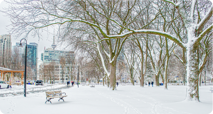 No-snow winter? What Canadians should expect for the rest of the