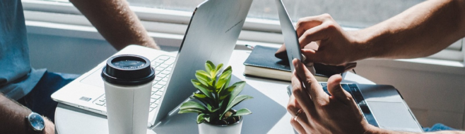 Nên học IELTS hay TOEIC để xin việc | Giải đáp chi tiết nhất