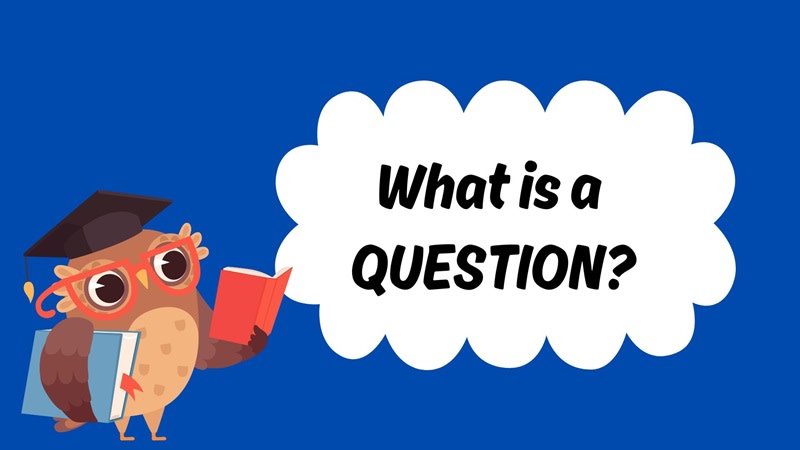 wh-question là gì