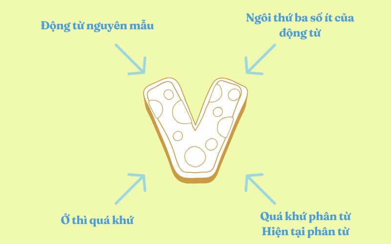 công thức verb form