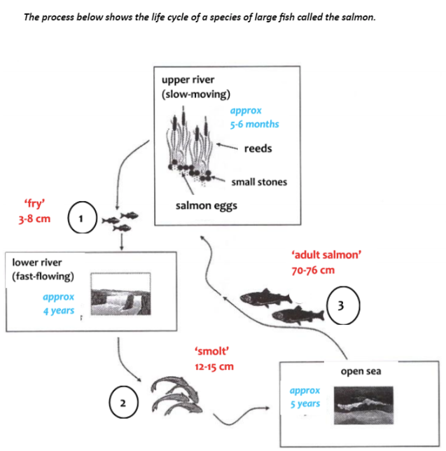 Natural process chart