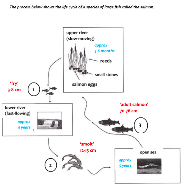 Natural process chart