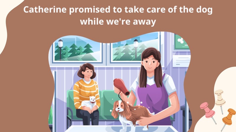 sau promise là to v hay ving