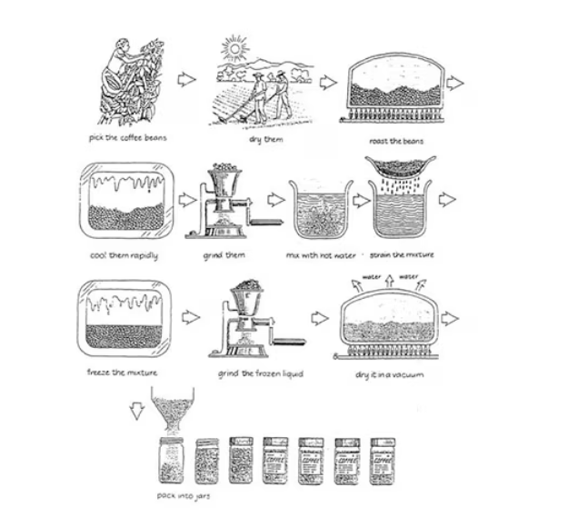 coffee linear process