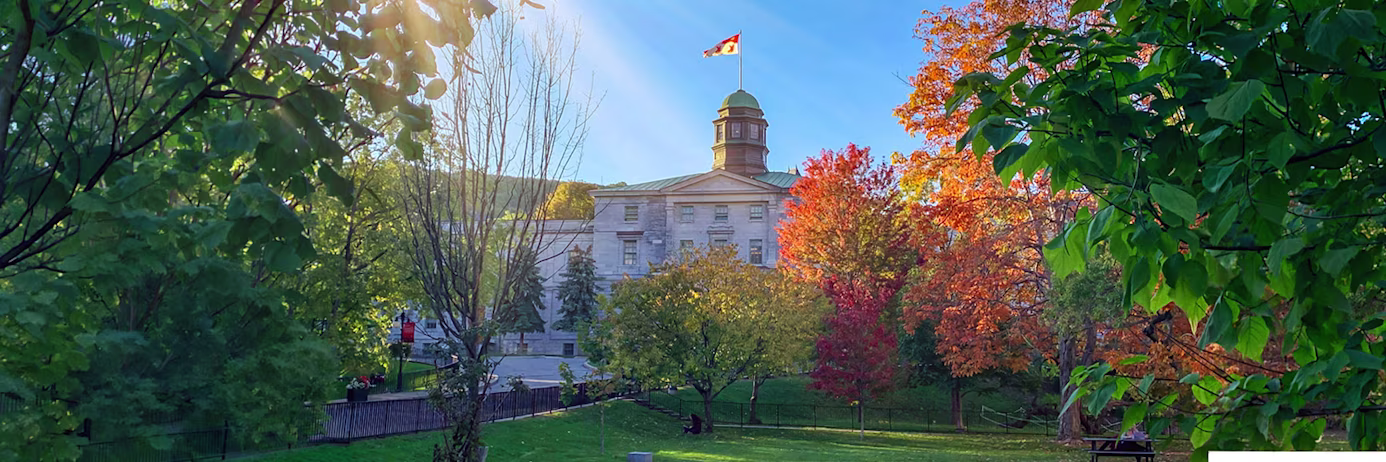 Banner image for IELTS McGill University Requirements for International Students topic page - Orange trees at McGill