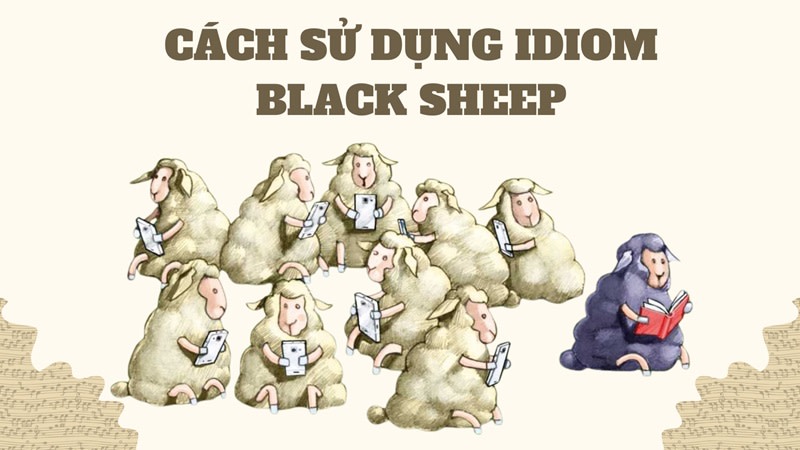 black sheep of the family