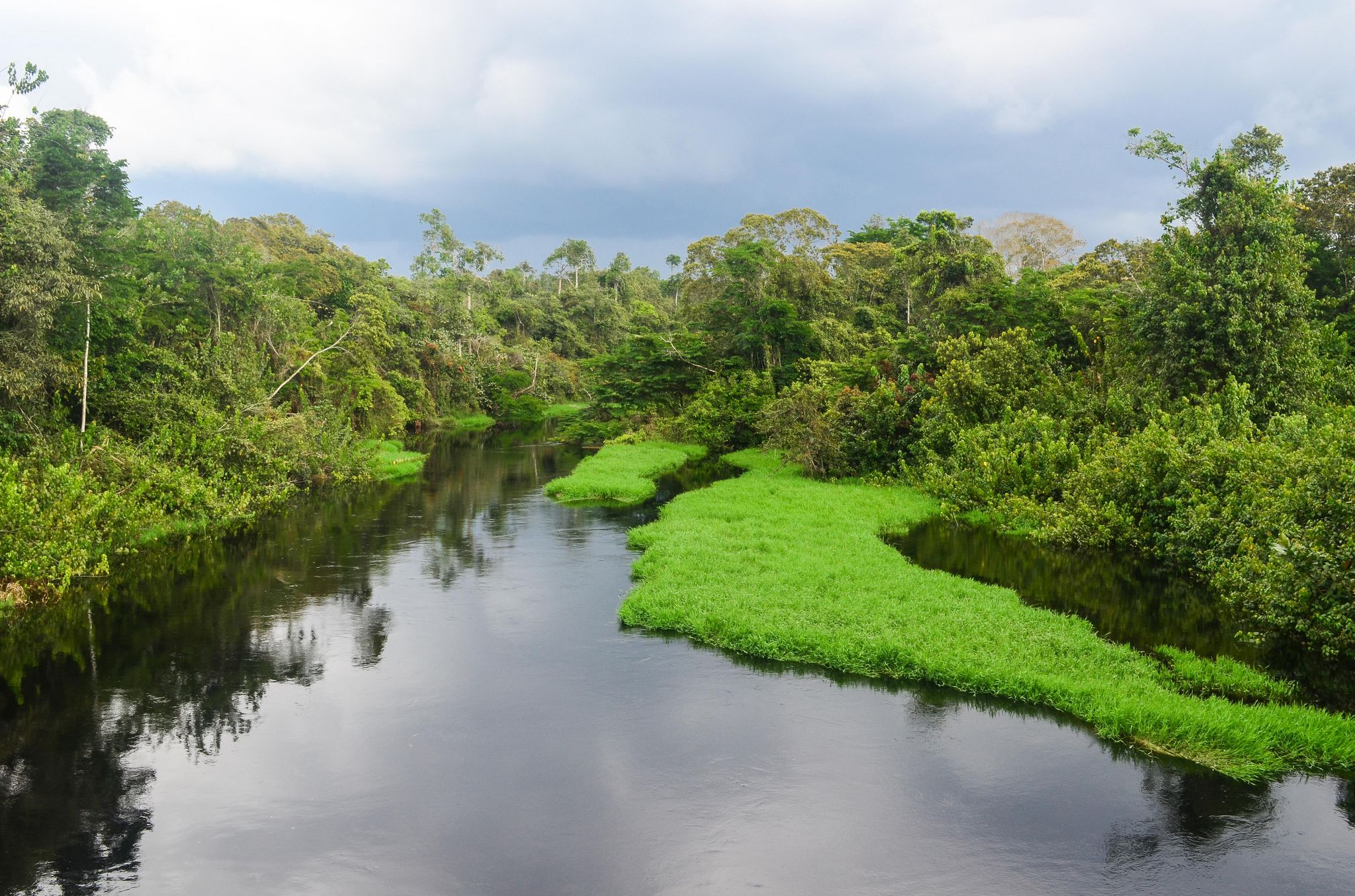 <p>Landscape near Awoua Oyem, Gabon. Photo by <a href="https://www.flickr.com/photos/jbdodane/11598911213/in/album-72157639105064494/">jbdodane via flickr</a>. CC BY-NC 2.0</p>
