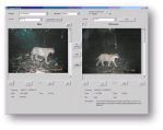 Thumbnail image for tool