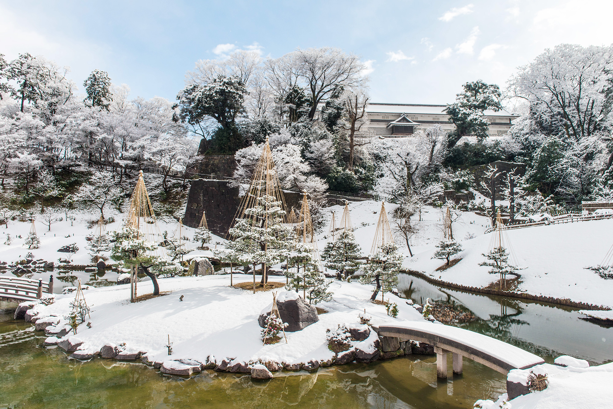 カメリア館。花の館。 花乃郷 本郷, Tokyo (updated prices 2025)