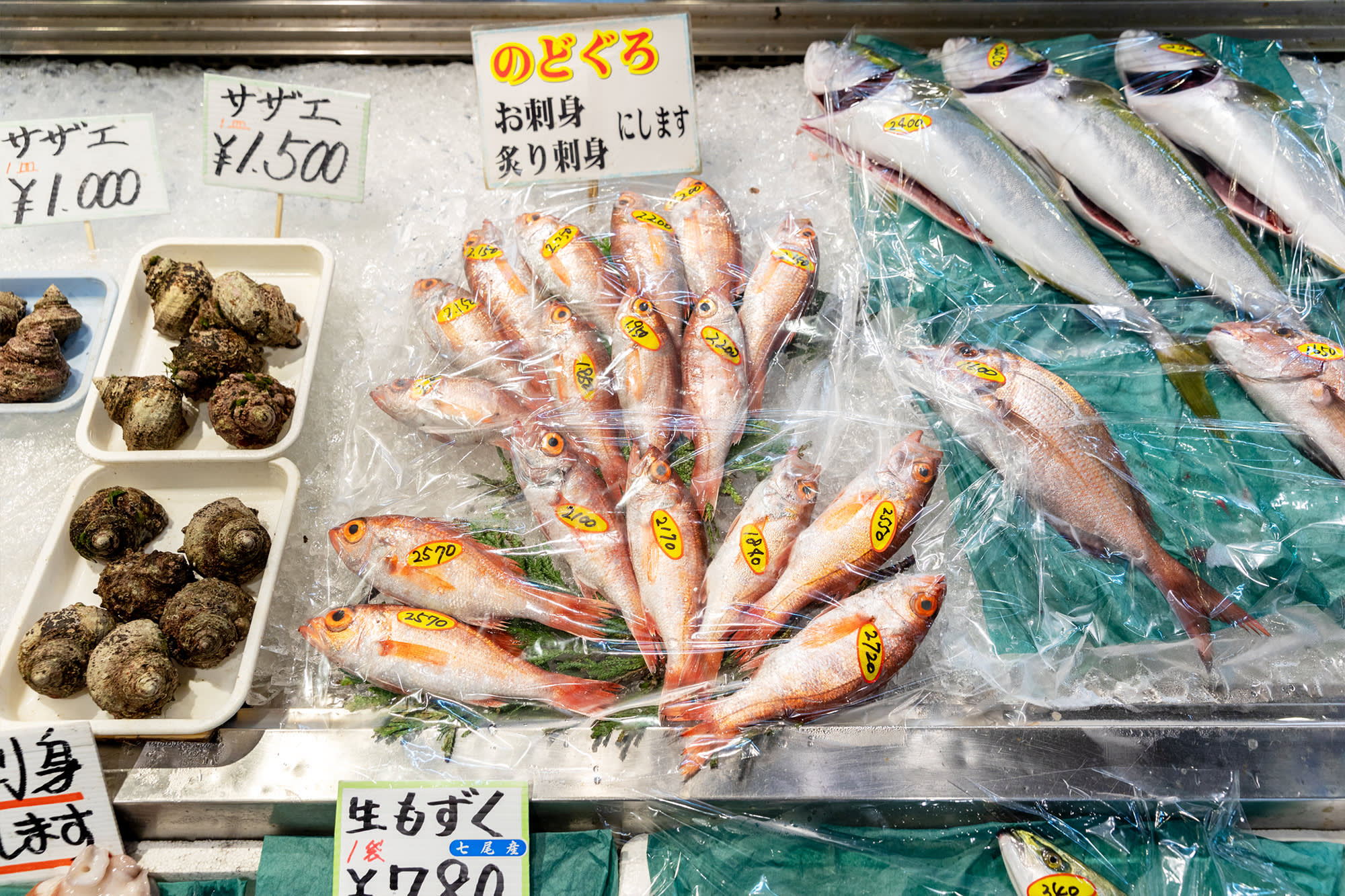 能登食祭市場 Ishikawa Travel 能登食祭市場 Ishikawa Travel