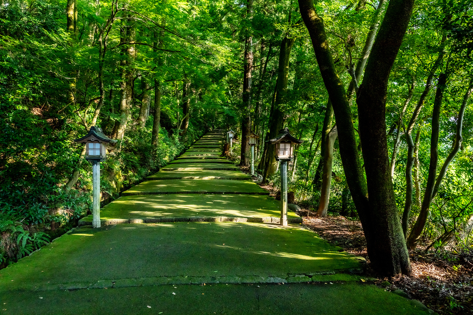 Shirayama Hime-jinja Shrine | Ishikawa Travel