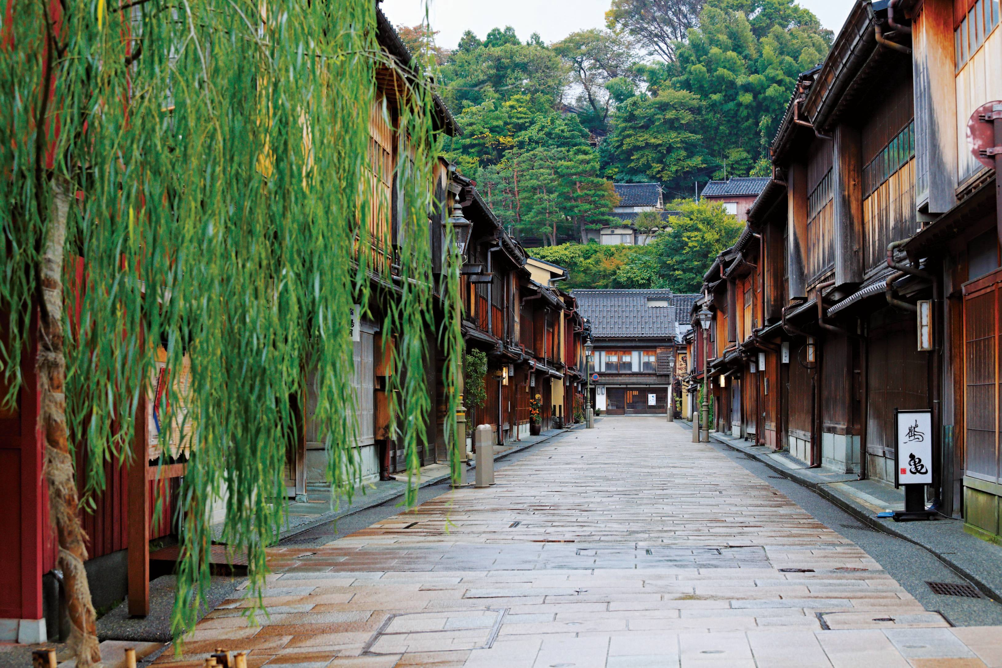 Art & Architecture: From Traditional to Contemporary